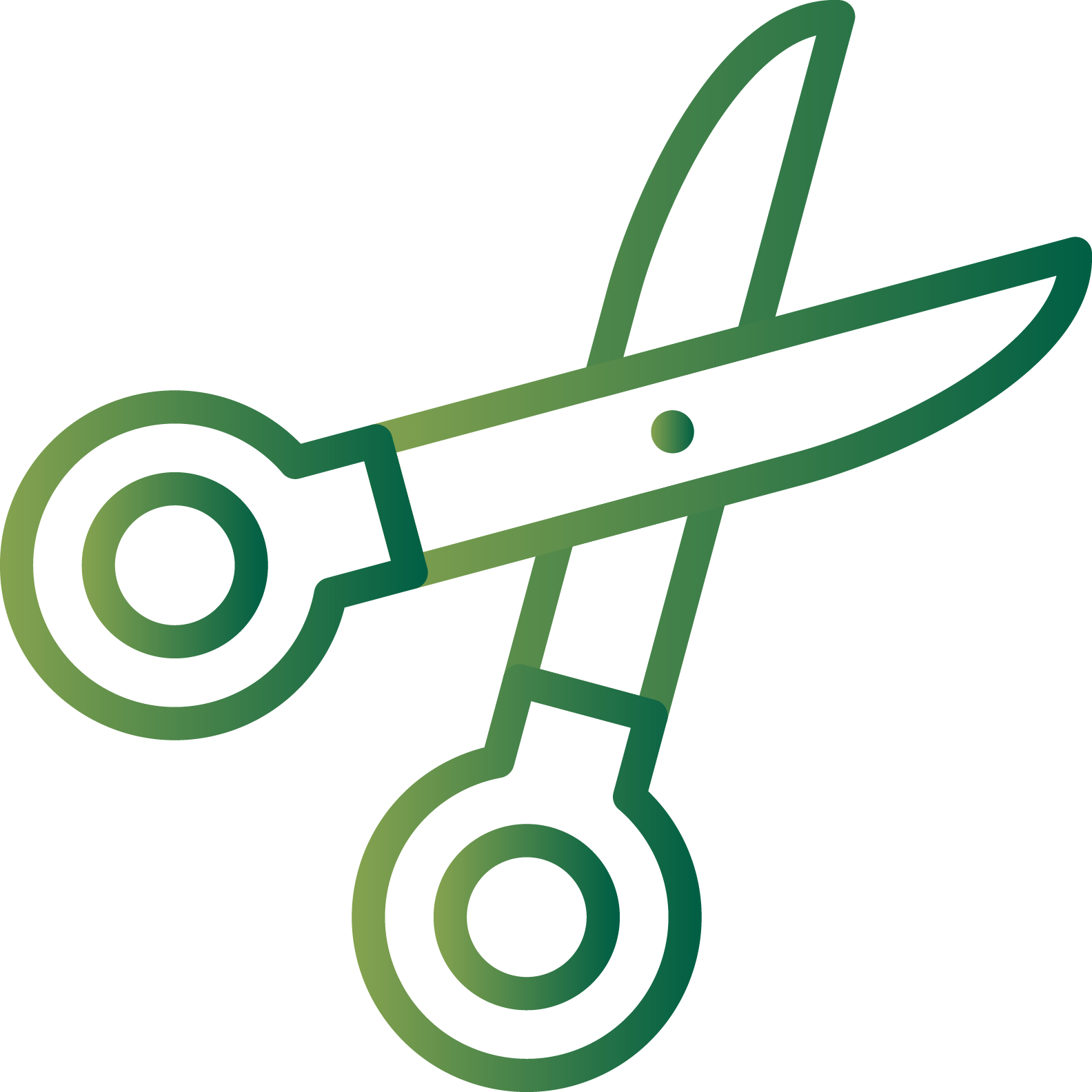 Délimitation des bordures